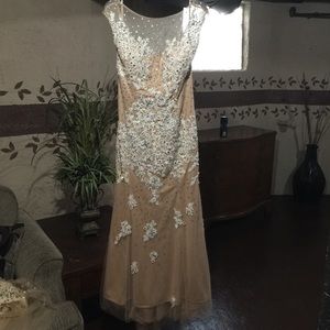 Lace Evening Gown